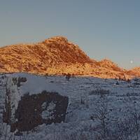 aerrortation 2025 review by aerror