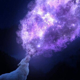 Charls Beckenbauer Ollie