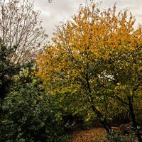 Ay Palas 08.09.2025 @ ApAcik Radyo by Ay Palas