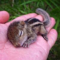 holy moly by A P O C A L Y P S E