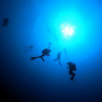 Bajo´s Diver in the Deep Ocean by Ricardo Bajo