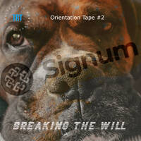 Breaking the Will by Nivok Spilkommen