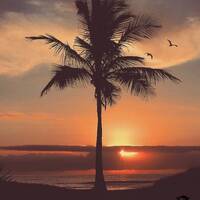TechMusicParadise(No4) By LloydDaDj by LLOYD