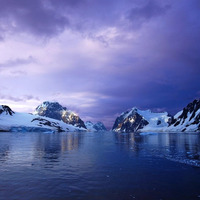 Shambala Networks - Antarctica by Olivér Dombi