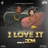I Love It - (DOM REMIX) by DOM