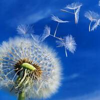 O slobode v slobodnom r&aacute;diu