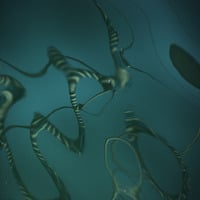 aemix20200410 by rndom // 220 minutes of autechre by rndom