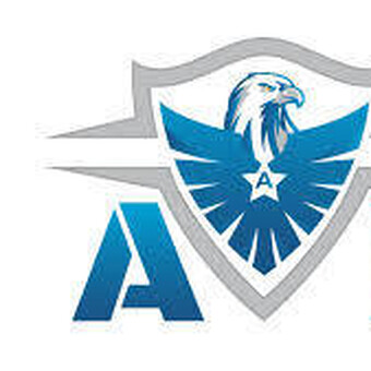 aves security