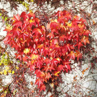 40_Abendschule__Liebe_2023_Mai by Ulrike Woschni