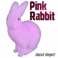 Pink Rabbit - Dominik Kenngott - Doubleinc Rec by Dominik Kenngott