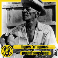 Fundamental Funk - Blues 'n' Roots - Liquid Sunshine@ The Face Radio -Show #128 - 08-11-2022 by Liquid Sunshine