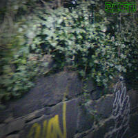 FYR 2030 "Striking Arrows Against The Skin of the Pachyderm" by Feed Your Robot