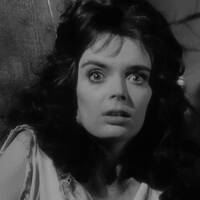 Musique exotique et sauvage Vol. 2 by Radio Futura