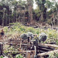 Sound of Threatened Landscape by Articulated Sounds