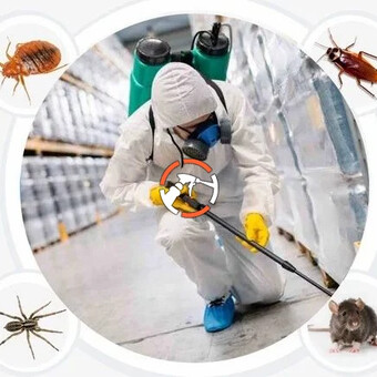 شركة تنظيف بالرياض