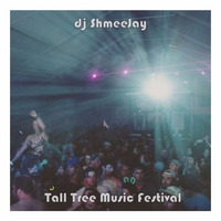 dj ShmeeJay Live @ Tall Tree Music Festival by dj ShmeeJay