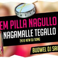 Em Pillo Nagulo Folk Song Remix Budwel Dj Sai by www.Djoffice.in