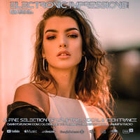 Electronic Impressions 940 with Danny Grunow by Danny Grunow