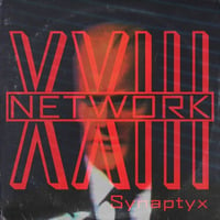 Network 23 by Synaptyx