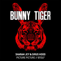 Sirus Hood & Sharam Jey - Picture Picture [Bunny Tiger] by Sirus Hood