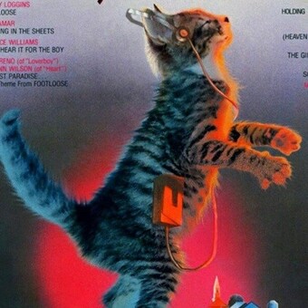 Vicenti&ntilde;odj Romero Avila