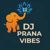 DJ Prana Vibes