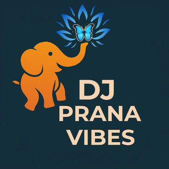 DJ Prana Vibes