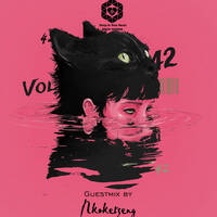 DEEP IN YOUR HEART house sessions vol 42 guest mix by Nkoketseng by Deep In Your Heart house sessions