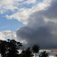 La vida es triste by Hans Krauß