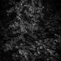 copernicus - highway to house - episode 94 by copernicus