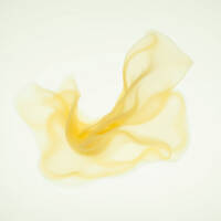 003_abetment by proxima.centauri_b_