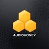 Audio Honey Records