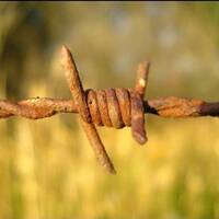 DeaneTR - Steven Graves - Michael Adams - Longing by Warriorpoets