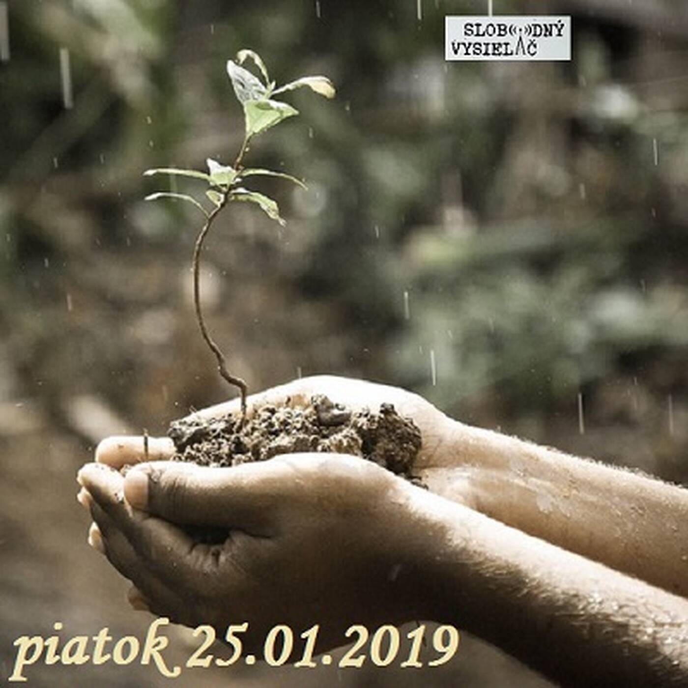 Cesta vzostupu 87 - 2019-01-25 Zmysel života a jeho hľadanie… episode artwork