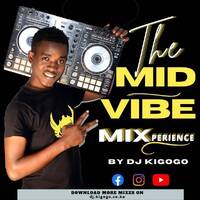 THE MIDVIBE X-PERIENCE 2 |Dancehall, Afrobeat, Bongo, Gengetone, Amapiano by Dj Kigogo