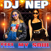 Feel My SOUL ... House Mix Vol. 100 by DJ NEP