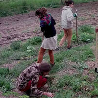 Gérard Grec présente le collectif "Chiendent", à Marseille by Sans transition!