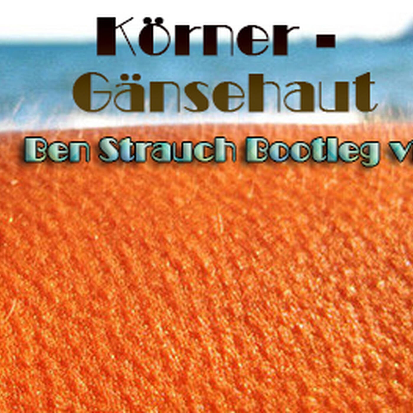 Körner - Gänsehaut  -   (Ben Strauch Bootleg v1)  episode artwork