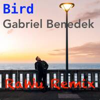 Gabriel Benedek - Bird (RaWu Remix) by RaWu