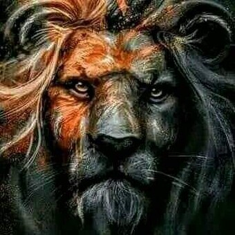 Vusumuzi Bongz Shongwe