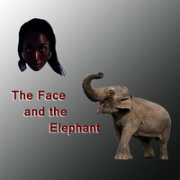 The Face And The Elephant by Alan Hamilton
