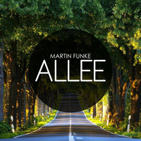 martin funke - #062 april 2015 (allee) by Martin Funke