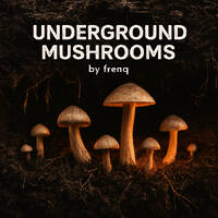 Underground mushrooms by frenq