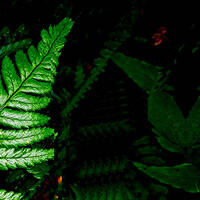 Atomvulkan Britz - Frühlingserwachen by Eddy Breaks