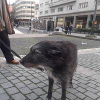 podcast 17 ROCK by LE MATOU