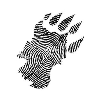 Criminal Tribe Records ltd.