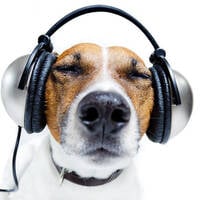 WummerWald 2023 by RAYCOON