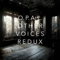 O.P.A.L. - Other Voices Redux Mix by Rojo y Negro Records