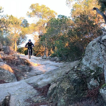 Javier Alvarez Ayuso