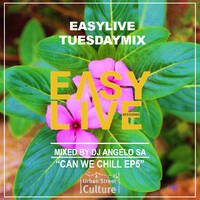  Can We Chill Mix by DJ Angel SA by EasyLiveSessions